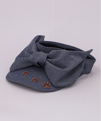 CAT VISOR2