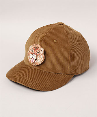 GAO-CAP